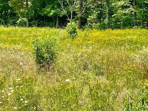 2576 Aderholt Rd, Bronston, KY 42518 photo 70