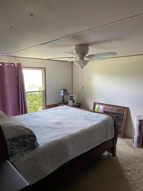 465 Piney Grove Rd, Nancy, KY 42544 photo 22