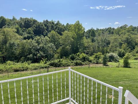 1152 Ky 223, Flat Lick, KY 40935 photo 19