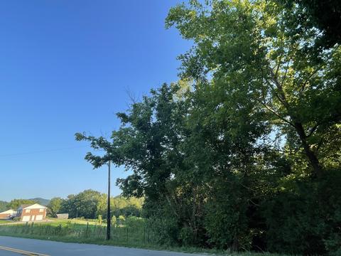 1152 Ky 223, Flat Lick, KY 40935 photo 18