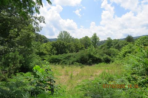 242 Wilder Rd, Baxter, KY 40806 photo 25