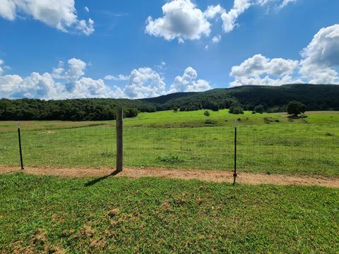 657 Davis Rd, Albany, KY 42602 photo 45