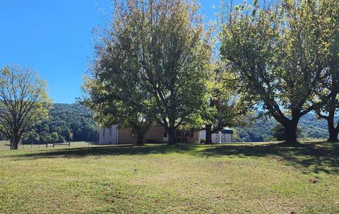 657 Davis Rd, Albany, KY 42602 photo 3