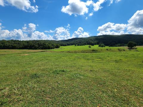 657 Davis Rd, Albany, KY 42602 photo 42