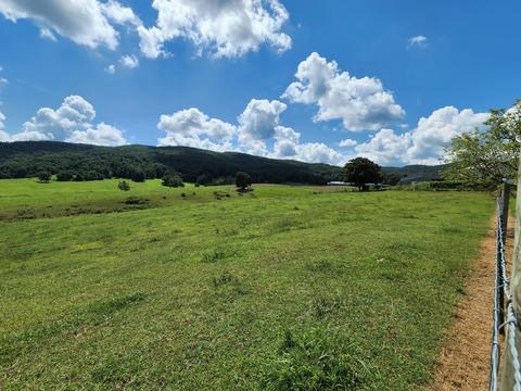 657 Davis Rd, Albany, KY 42602 photo 43