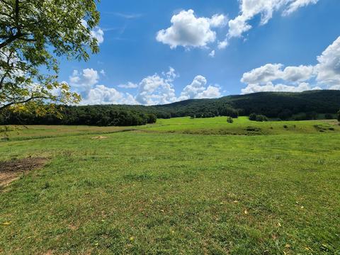 657 Davis Rd, Albany, KY 42602 photo 40