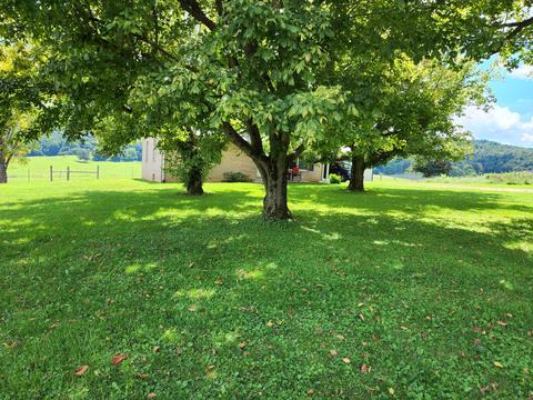 657 Davis Rd, Albany, KY 42602 photo 37