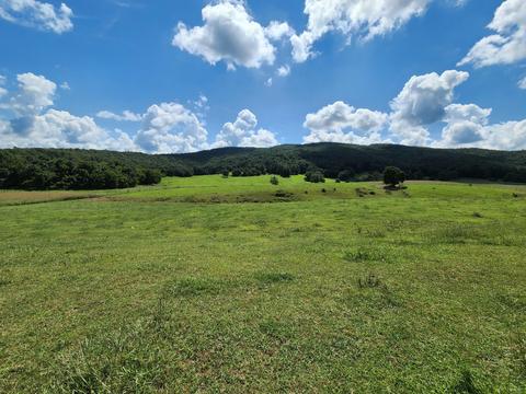 657 Davis Rd, Albany, KY 42602 photo 44