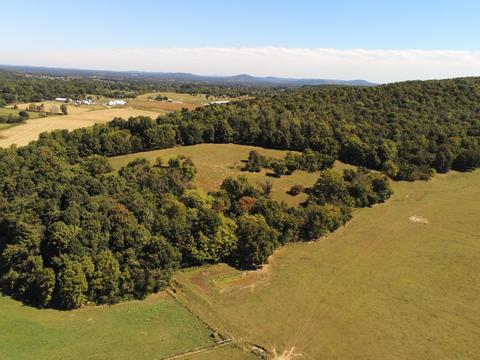 657 Davis Rd, Albany, KY 42602 photo 10