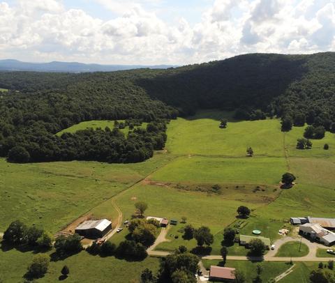 657 Davis Rd, Albany, KY 42602 photo 29