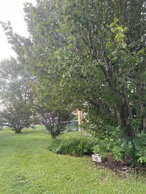 668 Barton Mill Rd, Corbin, KY 40701 photo 7