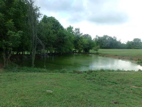 118 Shawhan Ln, Paris, KY 40361