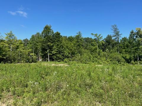 1849 Holly Grove Rd, Corbin, KY 40701 photo 1
