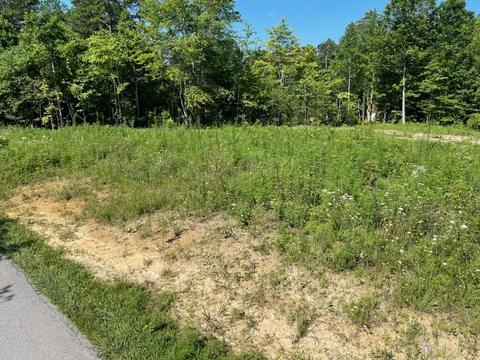 1849 Holly Grove Rd, Corbin, KY 40701 photo 5