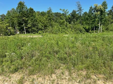1849 Holly Grove Rd, Corbin, KY 40701 photo 3