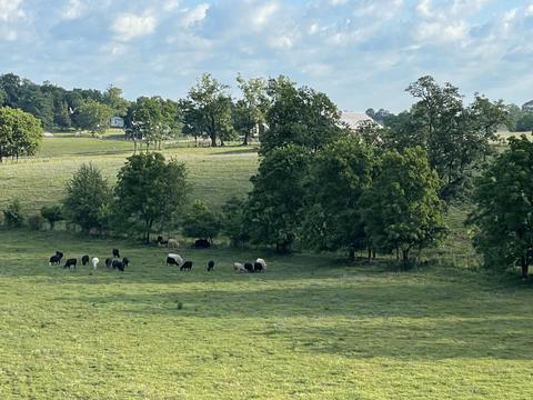 331 Lloyd Rd, Georgetown, KY 40324 photo 3