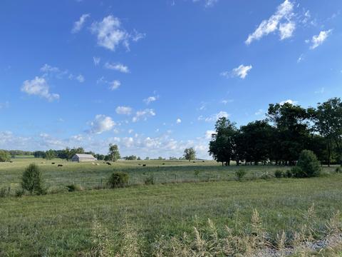 331 Lloyd Rd, Georgetown, KY 40324 photo 2