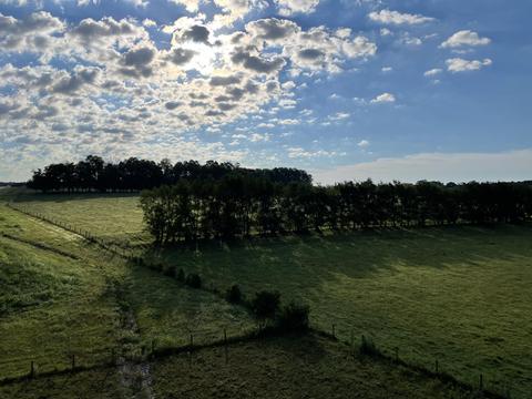 331 Lloyd Rd, Georgetown, KY 40324 photo 6