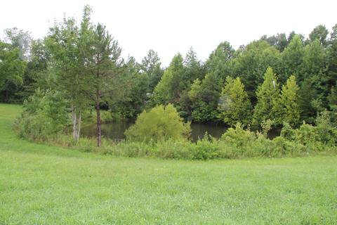 808 Mount Pleasant Rd, Strunk, KY 42649 photo 67