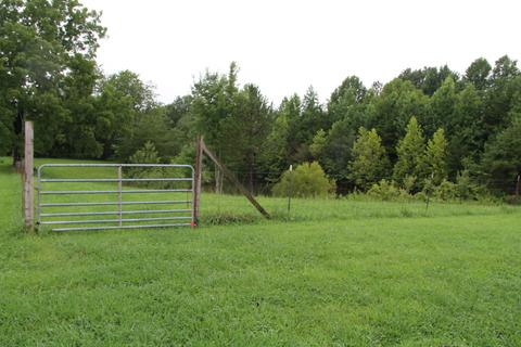 808 Mount Pleasant Rd, Strunk, KY 42649 photo 66