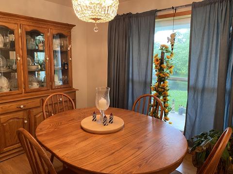 808 Mount Pleasant Rd, Strunk, KY 42649 photo 22