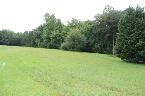 808 Mount Pleasant Rd, Strunk, KY 42649 photo 59