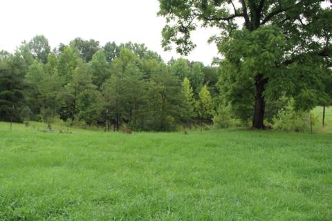 808 Mount Pleasant Rd, Strunk, KY 42649 photo 56