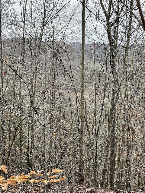 Lot 7 Briarwood, Russell Springs, KY 42642