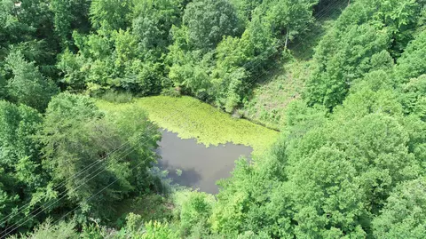 976 Hwy 90, Corbin, KY 40701 photo 23