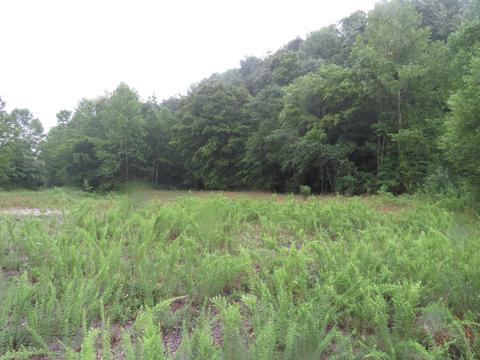 0000 Hubbs Creek Rd, Barbourville, KY 40906