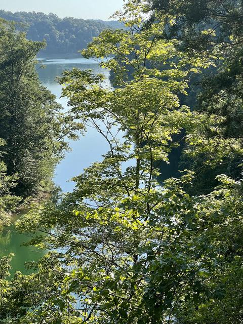 168 Waterfall Valley Rd, Nancy, KY 42544 photo 35