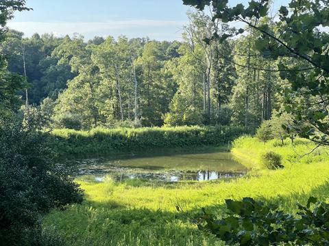 168 Waterfall Valley Rd, Nancy, KY 42544 photo 40