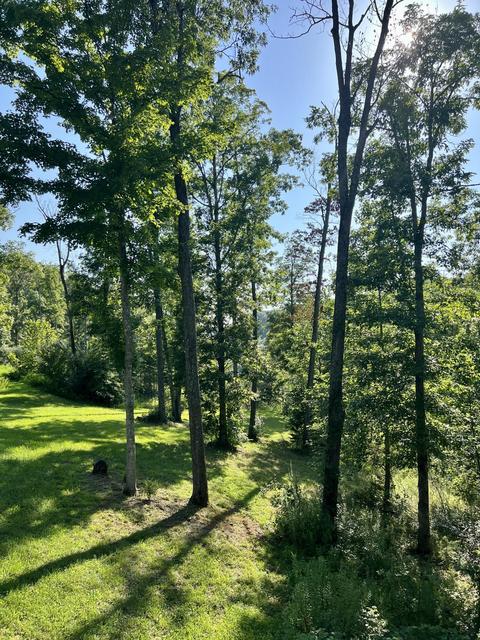 168 Waterfall Valley Rd, Nancy, KY 42544 photo 33