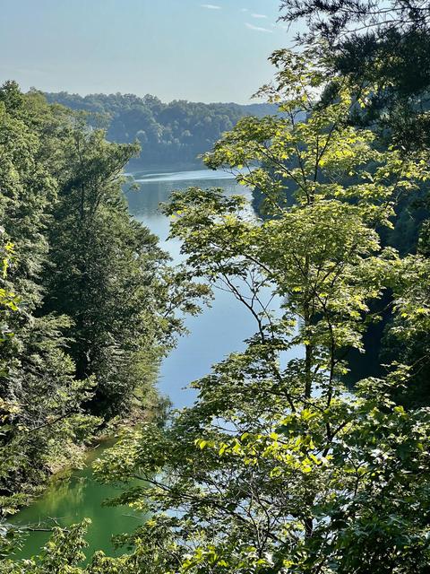 168 Waterfall Valley Rd, Nancy, KY 42544 photo 37