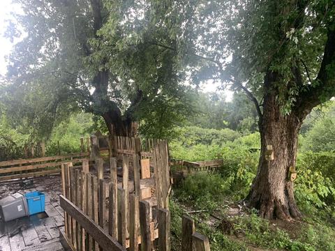 9055 Buckeye Rd, Lancaster, KY 40444 photo 19