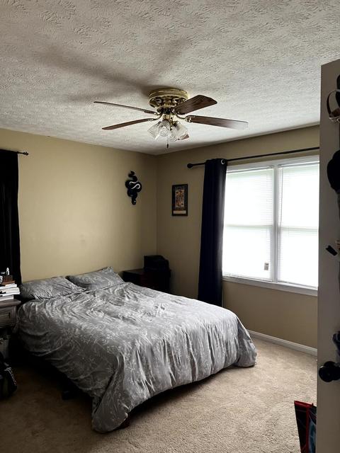 204 Alfred Dr, Georgetown, KY 40324 photo 9