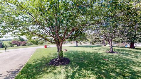 882 Three Forks Rd, Richmond, KY 40475 photo 58