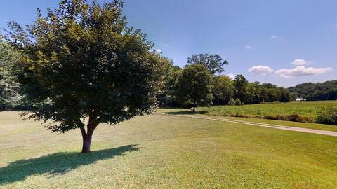 5487 N State Highway 7, Grayson, KY 41143 photo 15