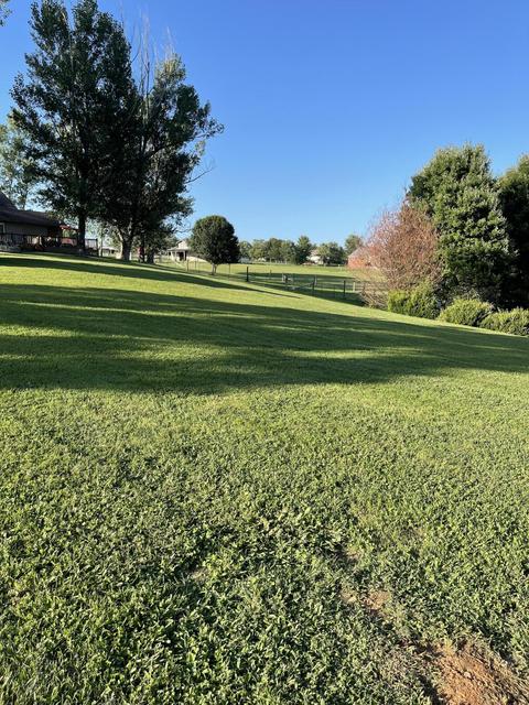 43 Jacob Ln, Science Hill, KY 42553 photo 18