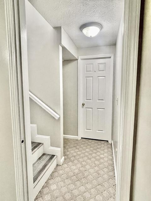 43 Jacob Ln, Science Hill, KY 42553 photo 9