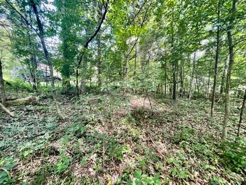 21 Oakland Dr, Nancy, KY 42544