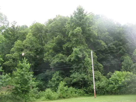 9999 Crane Creek Road Rd, Manchester, KY 40962