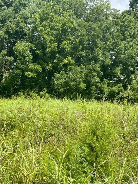 16 Greenleaf Dr, Campbellsville, KY 42718