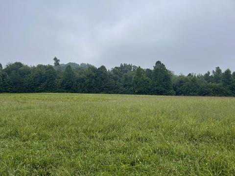 14 Nora Bell Rd # -a, London, KY 40741
