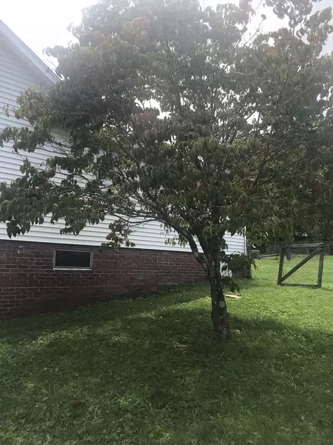 275 Hemlock St, Benham, KY 40807 photo 4