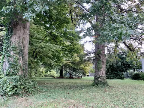 151 Duncan Ave, Paris, KY 40361 photo 2
