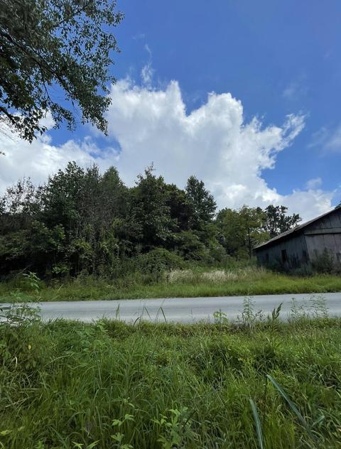 86 Eureka Rd, Zoe, KY 41397 photo 3