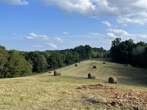 27 Acres Black Ridge Cemetery Rd, Nancy, KY 42544