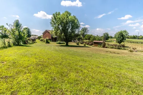 217 Rano Ct, Richmond, KY 40475 photo 12