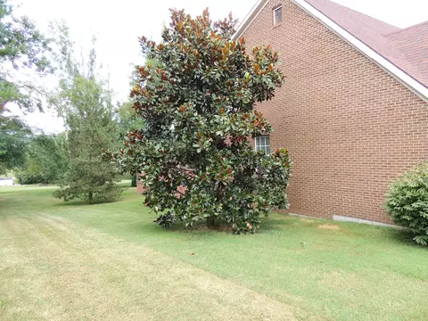 2007 Longview Dr, Georgetown, KY 40324 photo 6